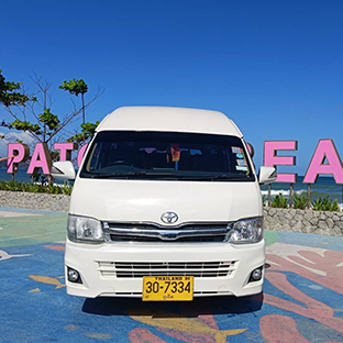 activities city tour thumbnail