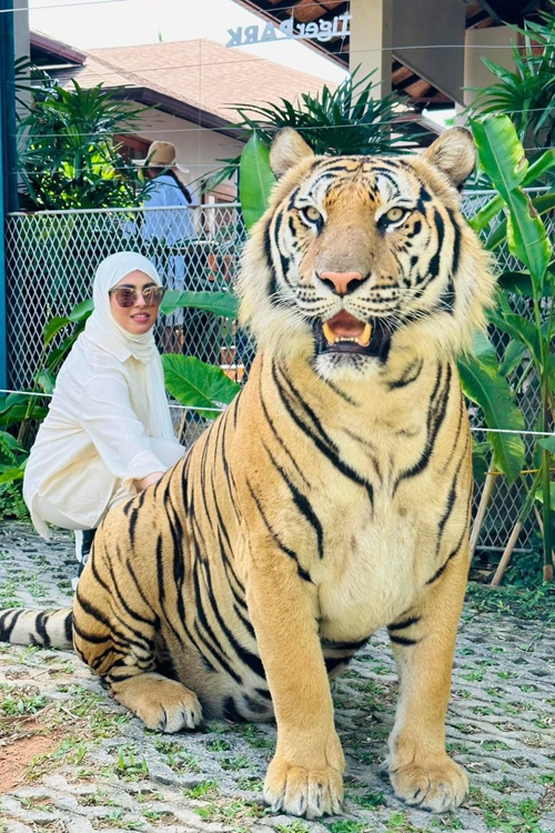 popular destination tiger kingdom