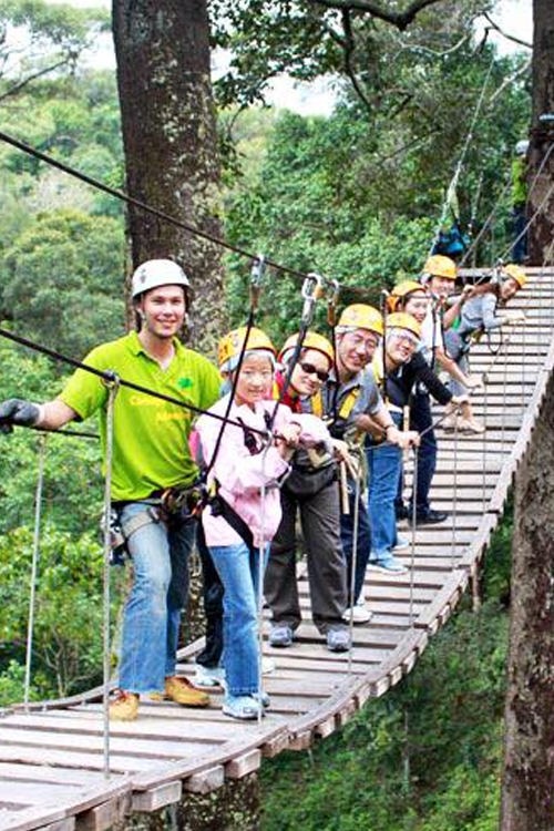 popular destination zipline